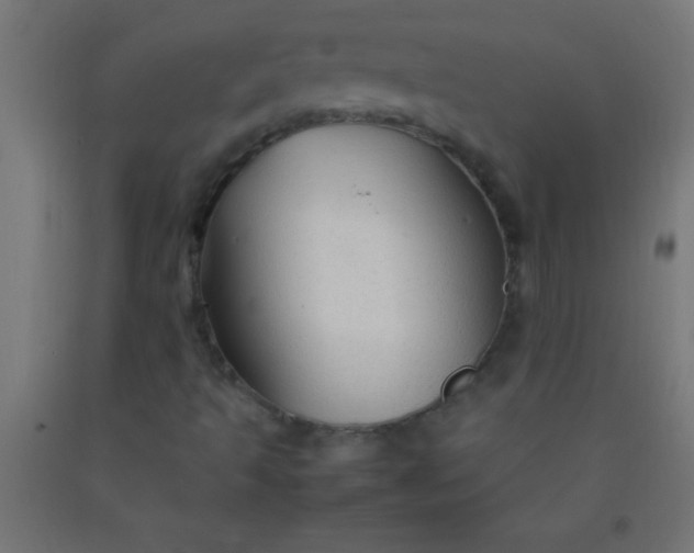 X0000092281493200709281234