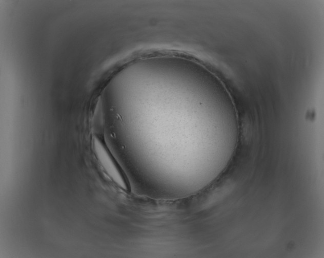 X0000092281494200709281234