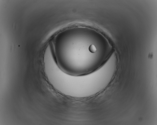 X0000092281496200709281234