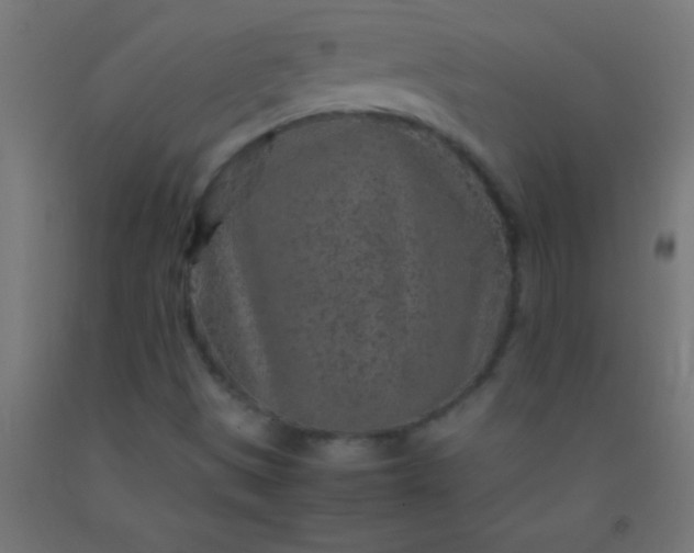 X0000092281497200709281234