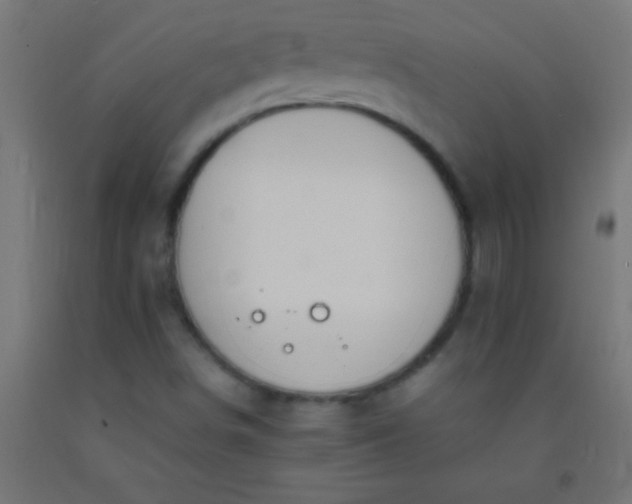 X0000092281498200709281234