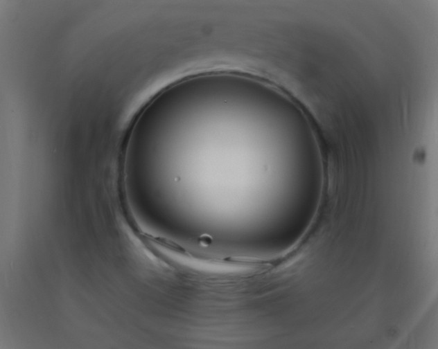 X0000092281500200709281234