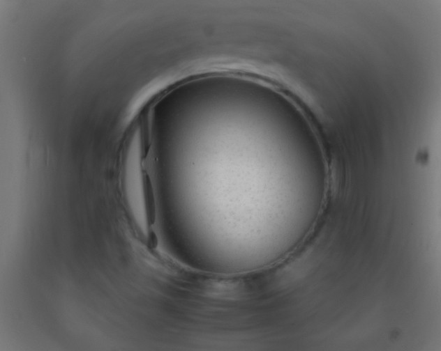 X0000092281501200709281234