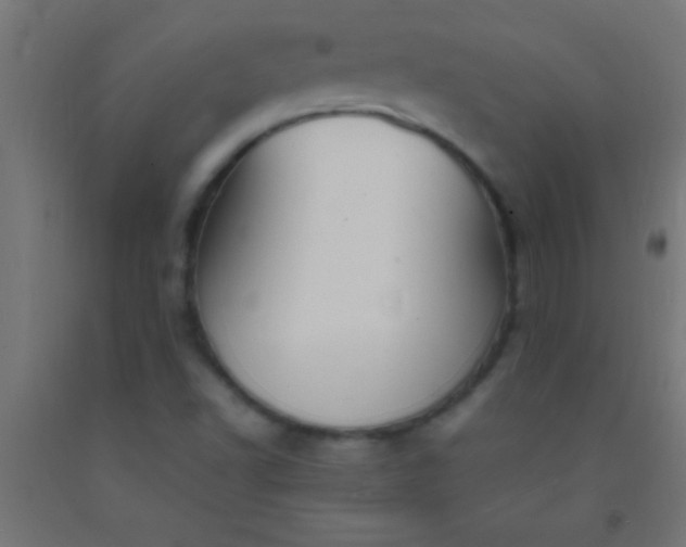 X0000092281502200709281234