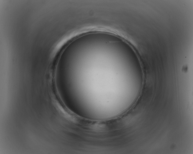 X0000092281503200709281234