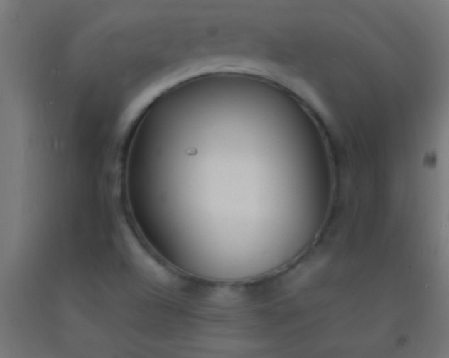 X0000092281504200709281234