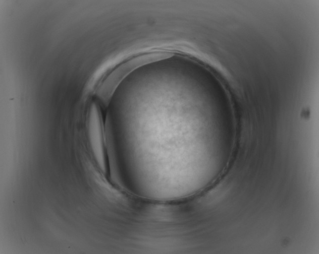 X0000092281506200709281234