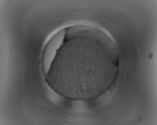 X0000092281508200709281234