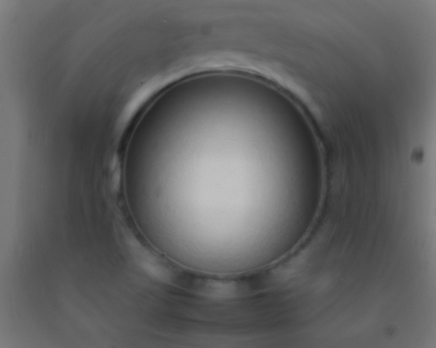 X0000092281509200709281234