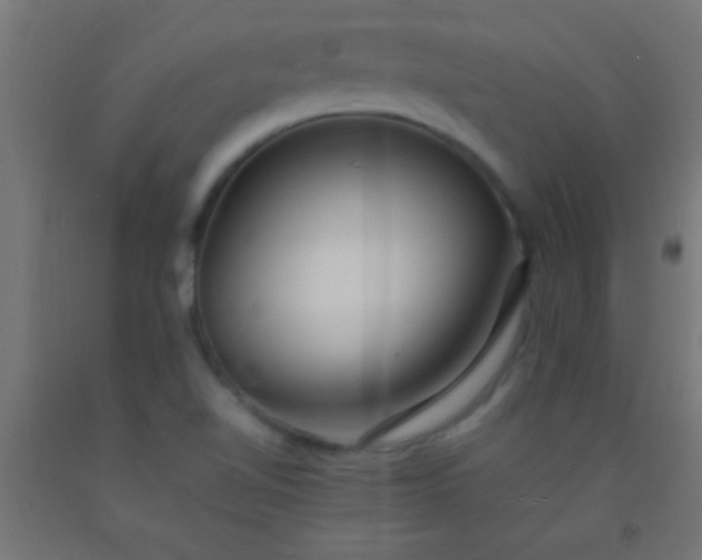 X0000092281510200709281234