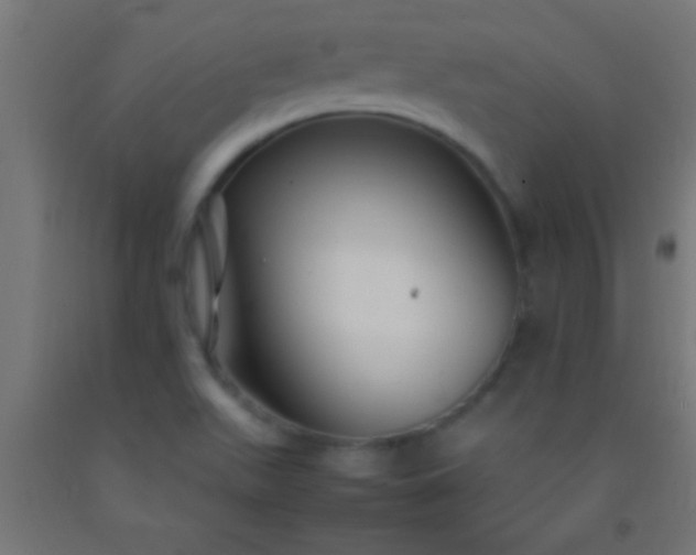 X0000092281511200709281234