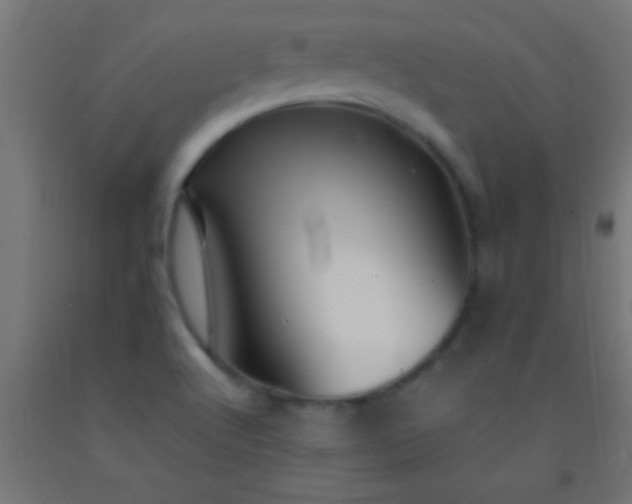 X0000092281512200709281234