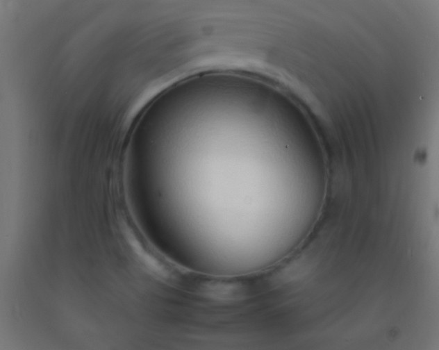 X0000092281513200709281234