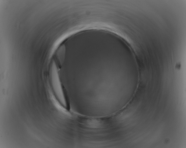 X0000092281515200709281235