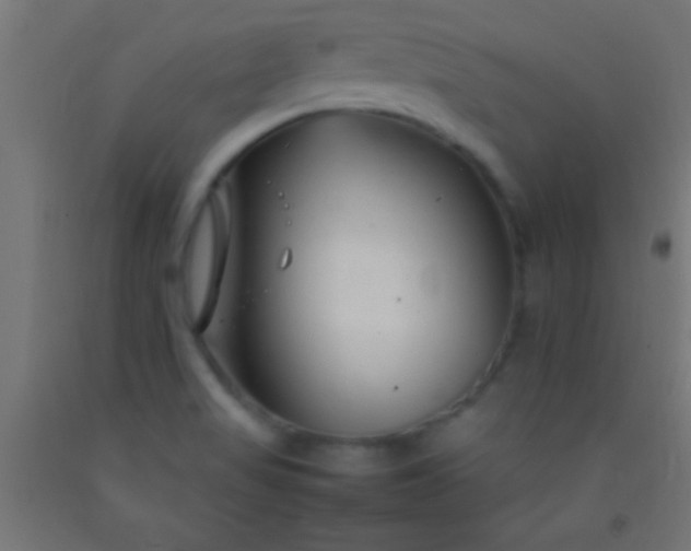 X0000092281517200709281235