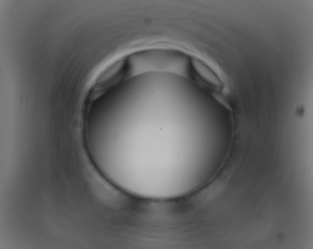 X0000092281518200709281235