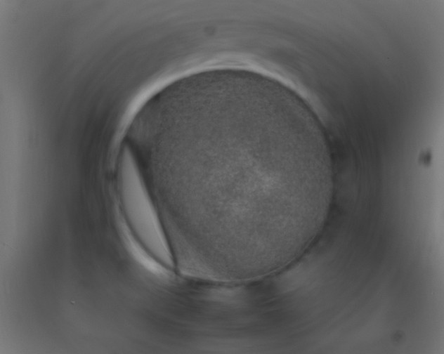 X0000092281519200709281235