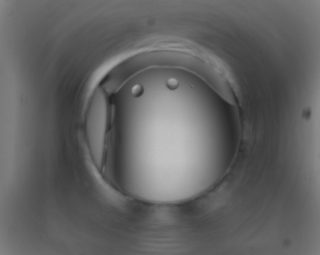 X0000092281520200709281235