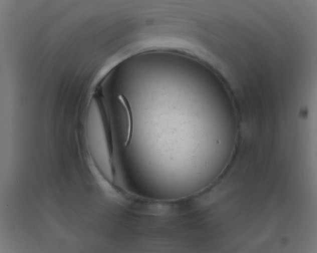 X0000092281521200709281235