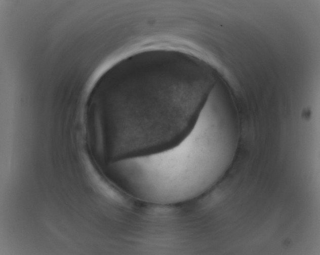 X0000092281522200709281235