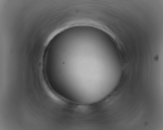 X0000092281523200709281235