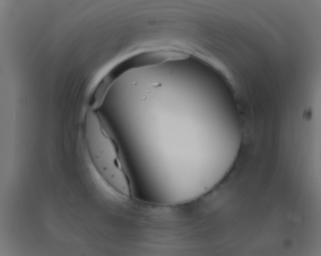 X0000092281524200709281235