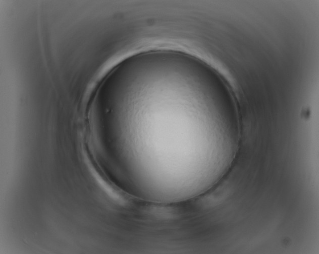 X0000092281525200709281235