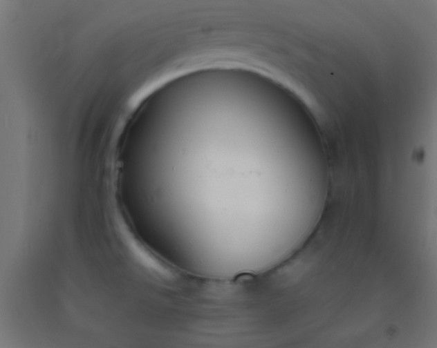 X0000092281526200709281235