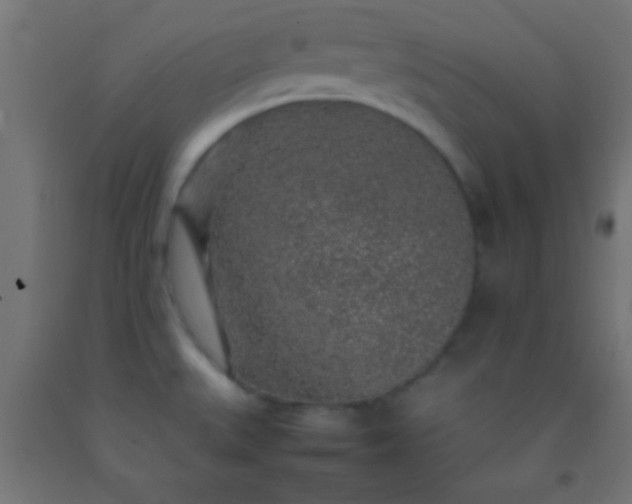 X0000092281527200709281235