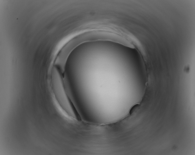 X0000092281528200709281235