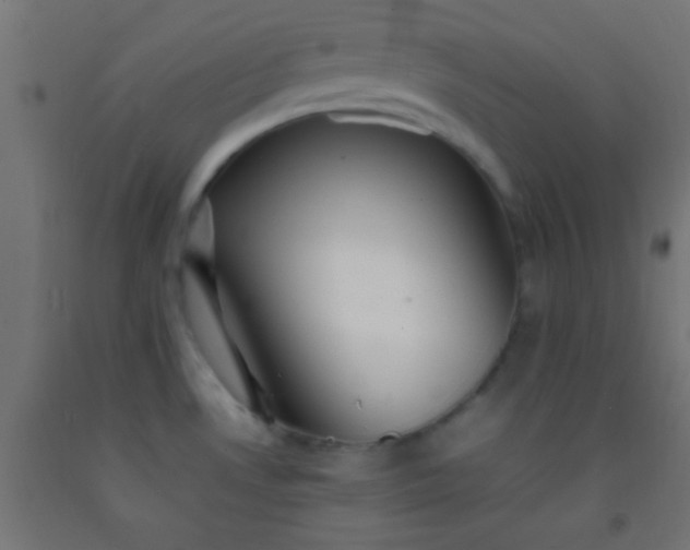 X0000092281530200709281235