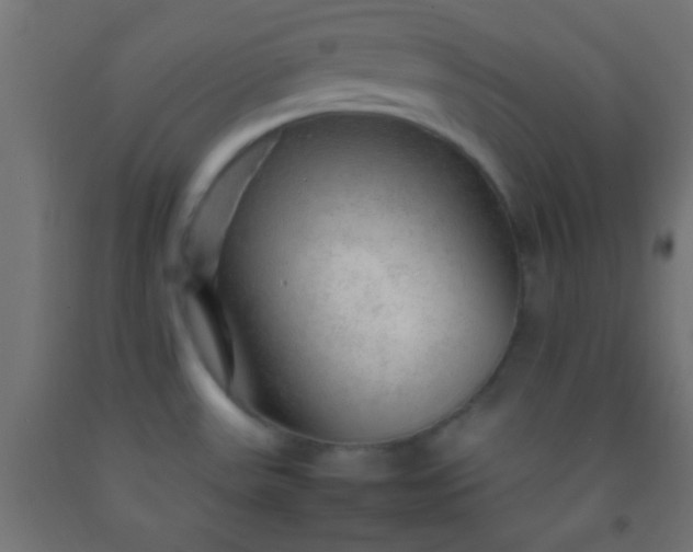 X0000092281531200709281235