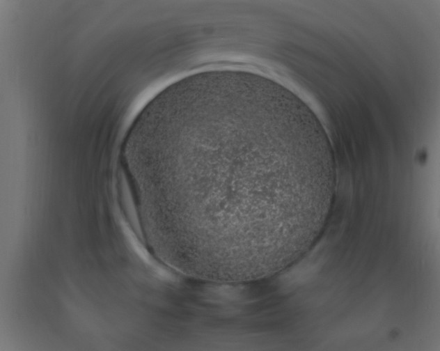 X0000092281533200709281235