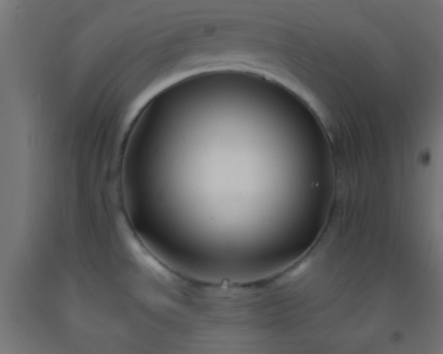 X0000092281534200709281235