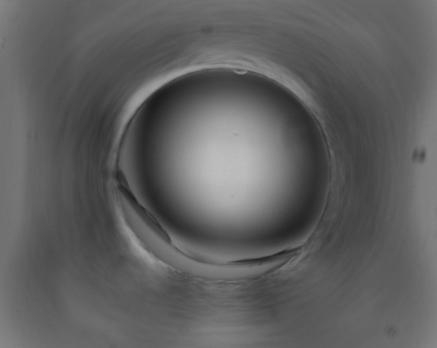 X0000092281536200709281235