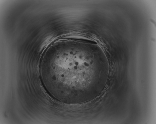 X0000092280002200710041419