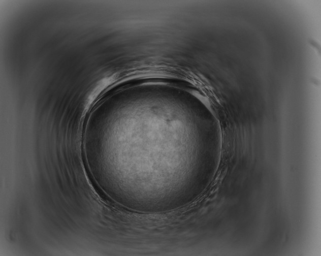 X0000092280003200710041419