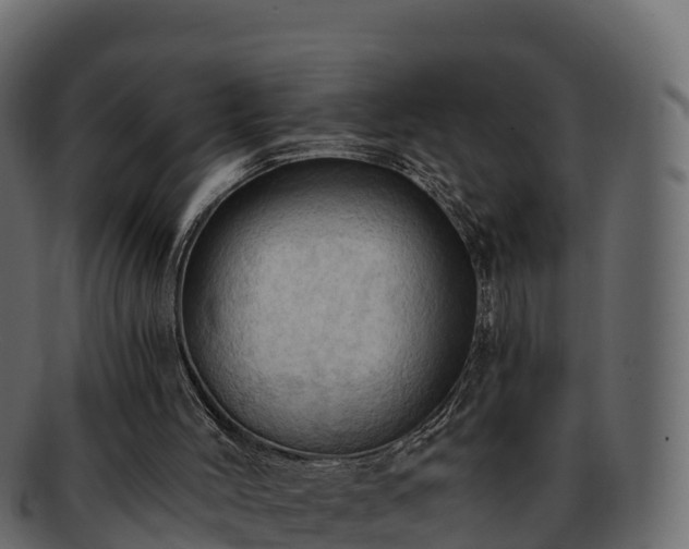 X0000092280004200710041419