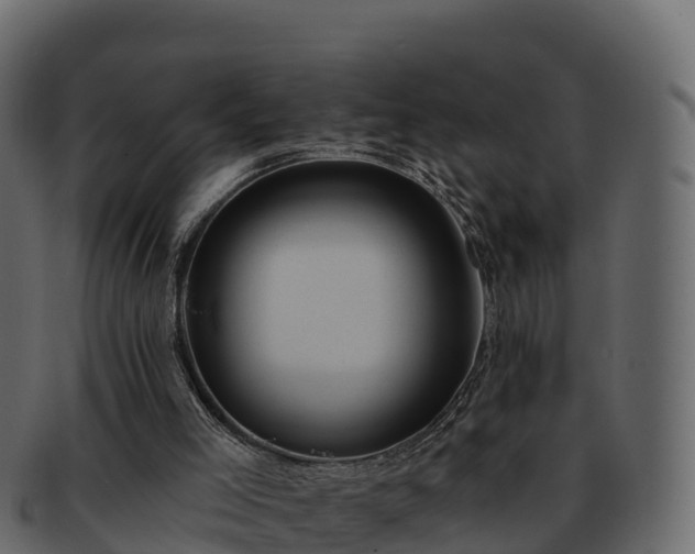 X0000092280005200710041419