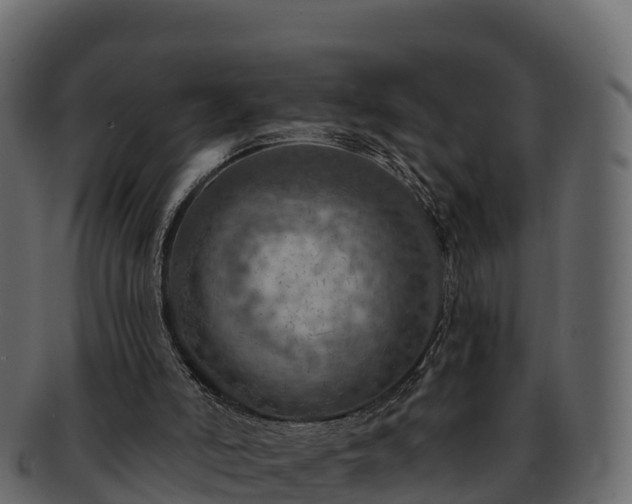 X0000092280006200710041419