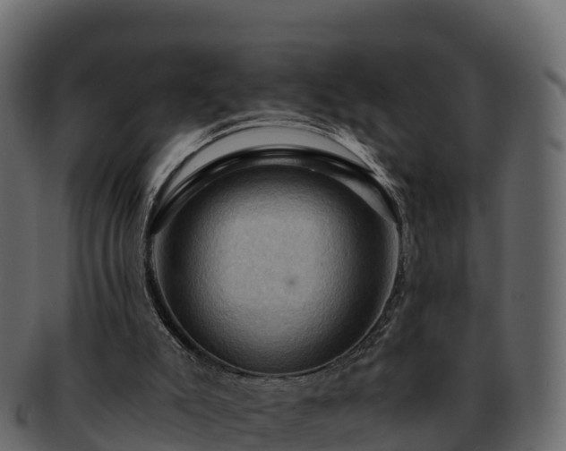 X0000092280007200710041419