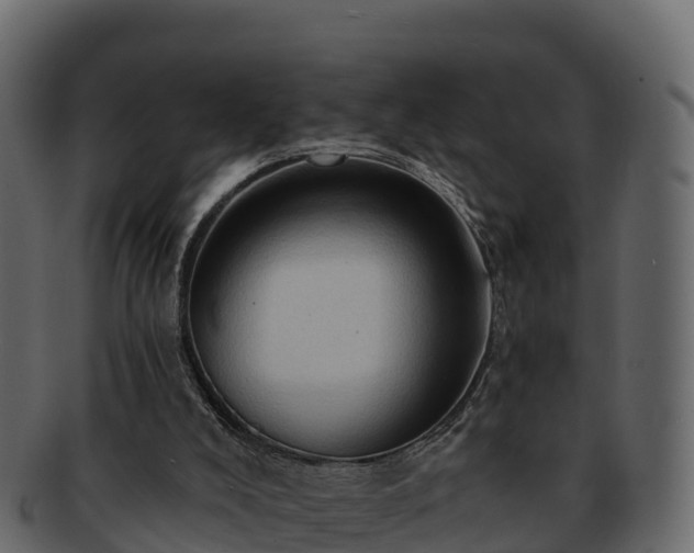 X0000092280008200710041419