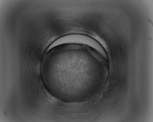 X0000092280009200710041419