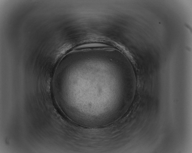 X0000092280010200710041419