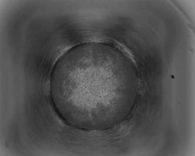 X0000092280012200710041419