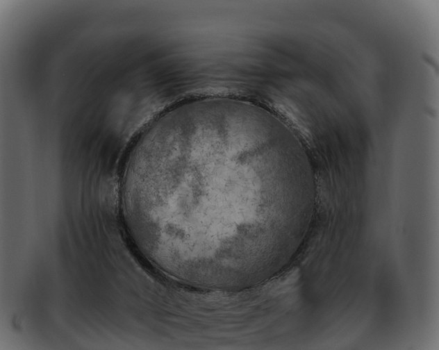 X0000092280016200710041419