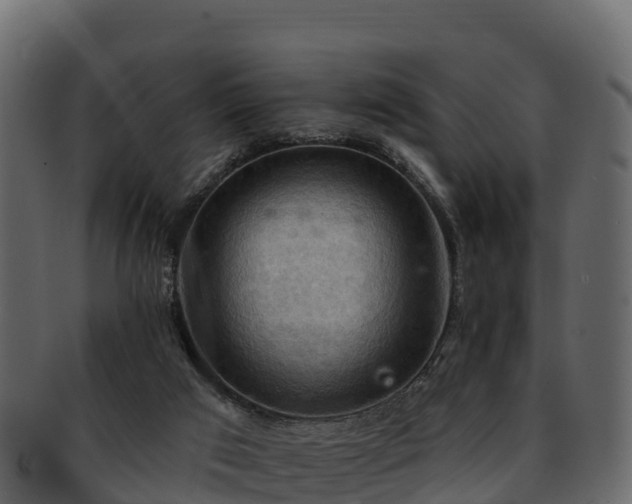 X0000092280017200710041419