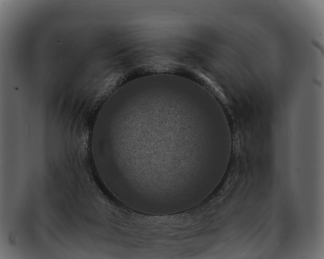 X0000092280018200710041419