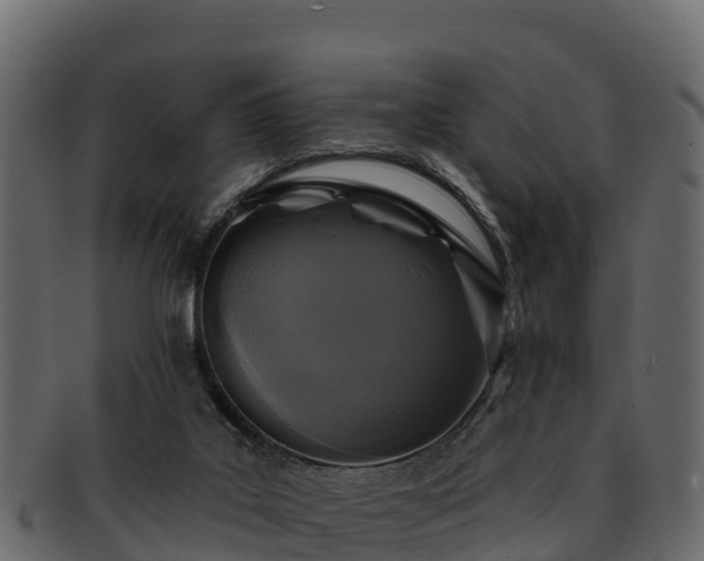 X0000092280019200710041419