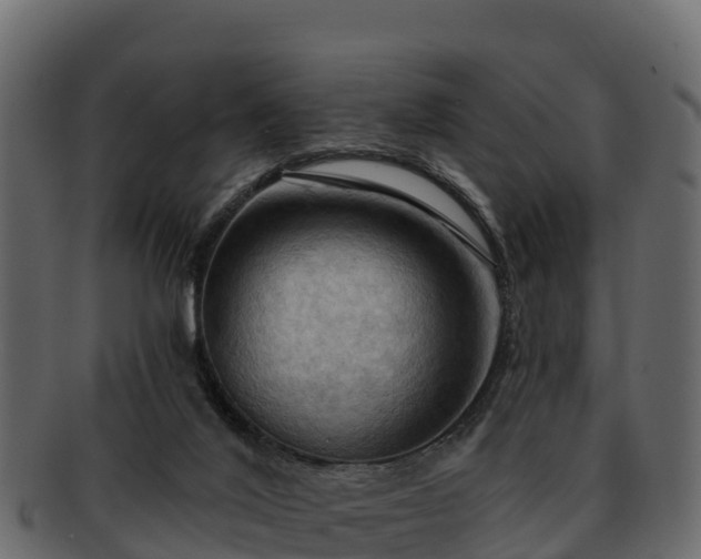 X0000092280020200710041419